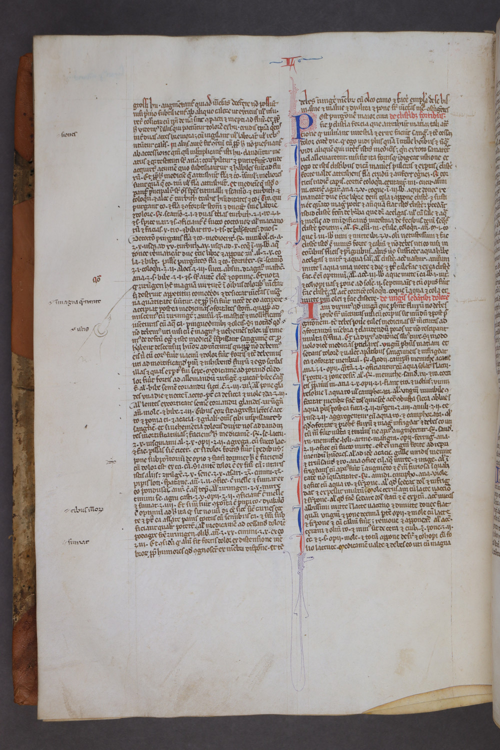Folio 147 verso